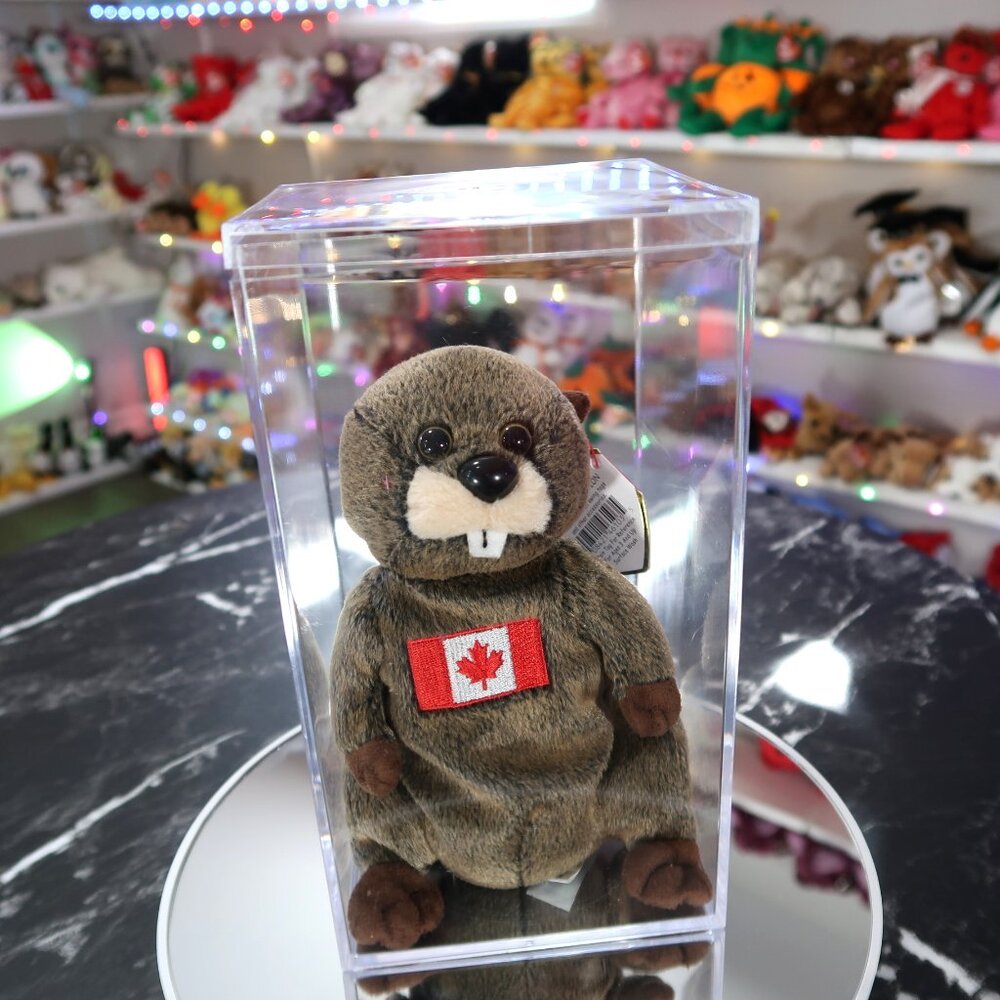 TY Beanie Baby - Timbers the Beaver | Tush Tag Wear | Retired | Rare | Vintage